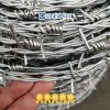 Zinc-Coated Barbed Fencing Wire | Factory Supplier China