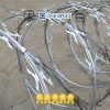 Razor Wires9 Razor Concertina Fencing Wire | Factory Supplier China