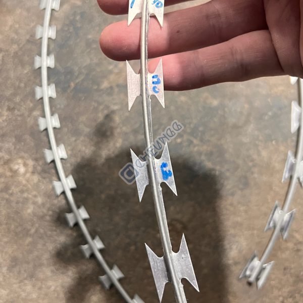 BTO Razor Barbed Wire CheungG (2) Razor Concertina Fencing Wire | Factory Supplier China
