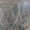 BTO Razor Barbed Wire CheungG (4) Razor Concertina Fencing Wire | Factory Supplier China