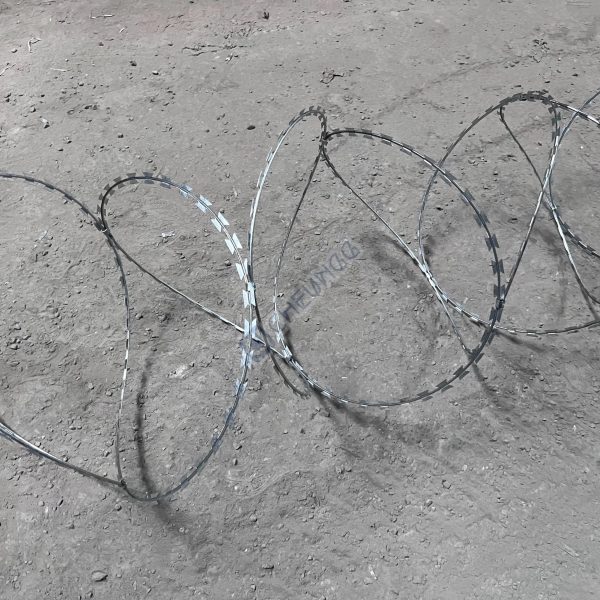 BTO Razor Barbed Wire CheungG (6) Razor Concertina Fencing Wire | Factory Supplier China