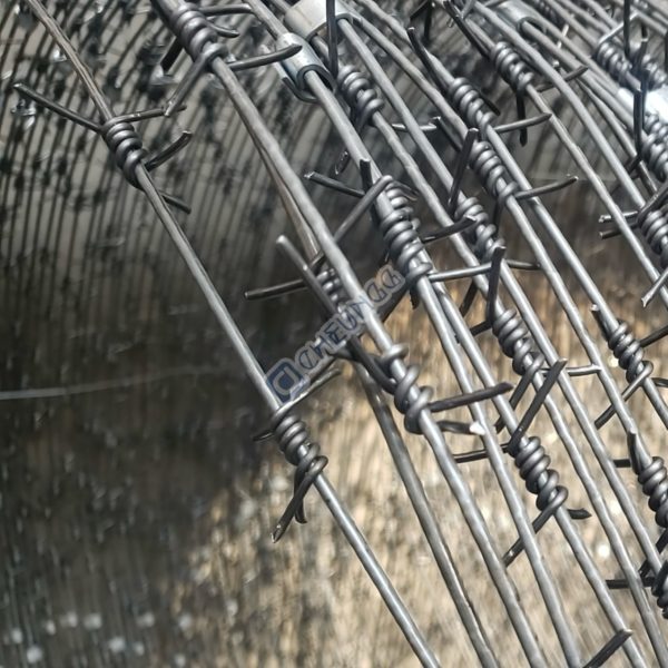 Razor Barbed Wire CheungG Razor Concertina Fencing Wire | Factory Supplier China